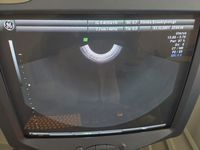 usg Voluson 730 Expert BT 8